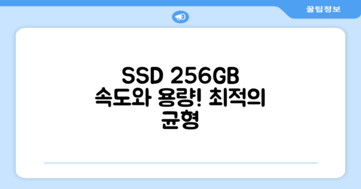 256GB SSD, 속도와 용량 균형