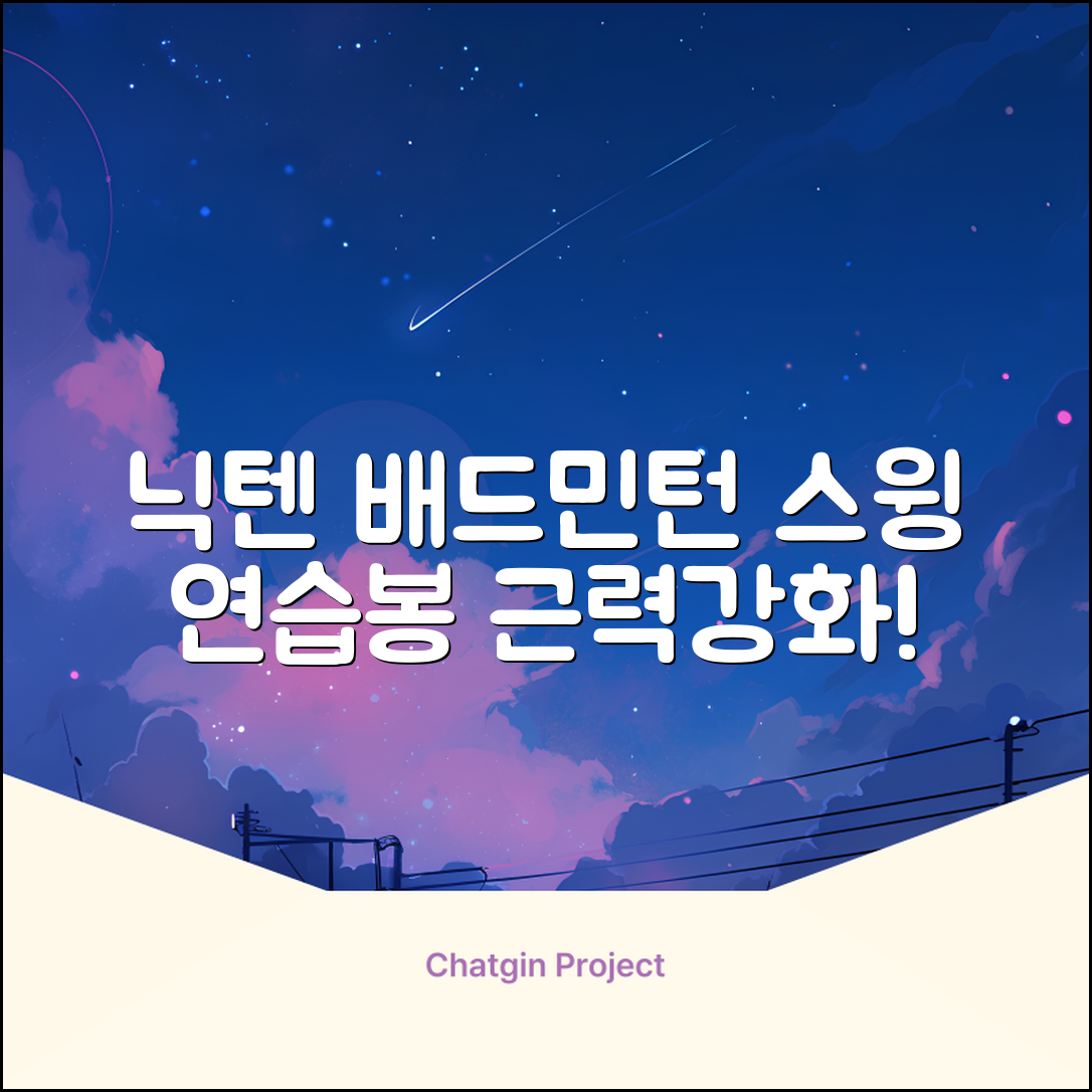 닉텐 배드민턴 스윙연습봉 - 근력강화 및 빈스윙연습, 1개, 스윙연습기 추천 리뷰
